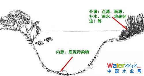 �ڳ����γ�