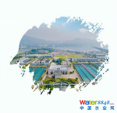 ����(w��)����